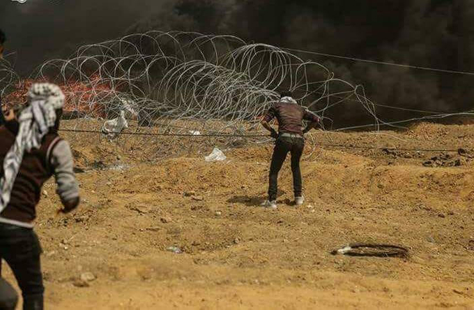 شهيد و968 إصابة بمسيرة العودة الكبرى في غزة